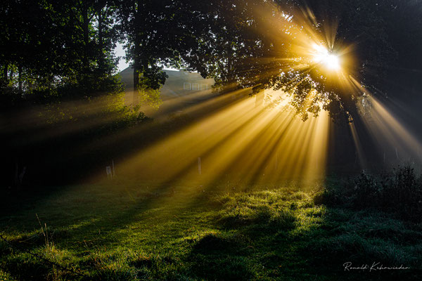 Sonnenstrahlen im Nebel, Schwinge Stade