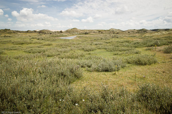 Landschaft der Graudünen