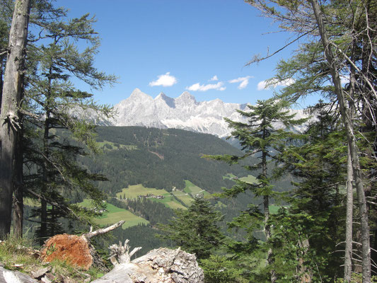 Blick vom Predigtstuhl - unserem Hausberg - auf das Dachsteinmassiv