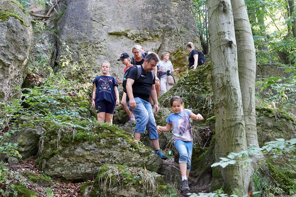 Die Wanderung führte die Teilnehmer durch ursprüngliche Teile des Ith (foto: Jürgen Bommer)