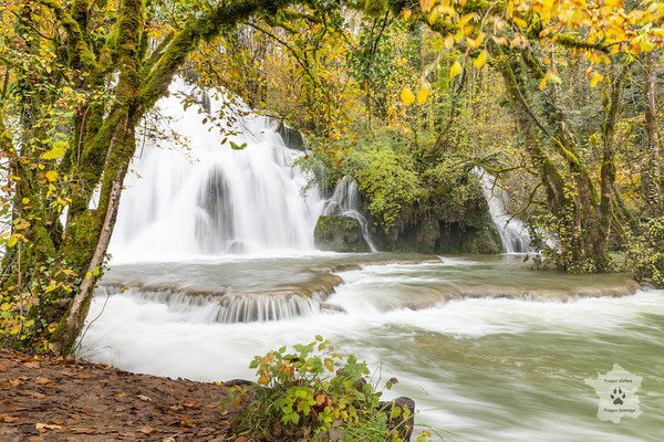 « Majestueuse cascade » -  Cascade des Planches-Près-Arbois, Jura (39)