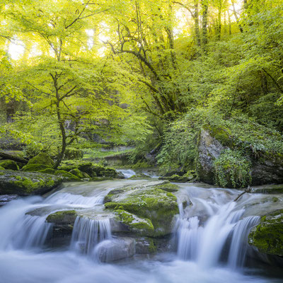 Ain - Bugey - "Le puits des Tines" - Ratio 1/1