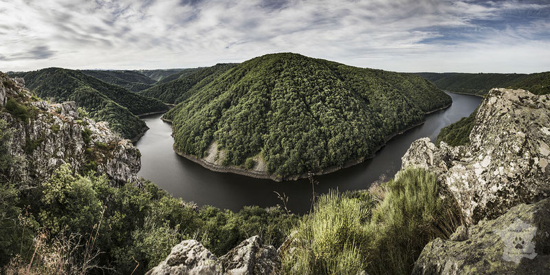 « Suivre le méandre - Panoramique » Les Gorges de la Dordogne depuis Gratte-Bruyère, Corrèze (19)