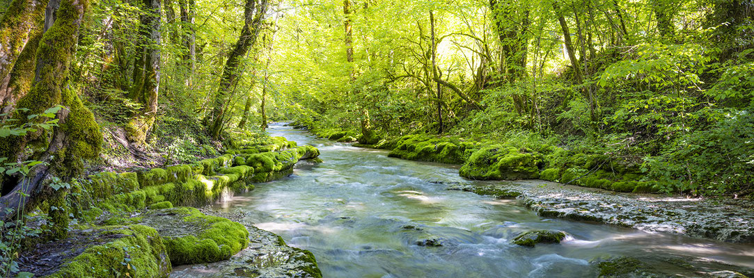 Ain - Bugey - "Le Séran, avant la cascade" - Ratio 1/3