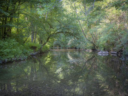 Ain - Bugey - "Le Séran à Turignin" - Ratio 3/4