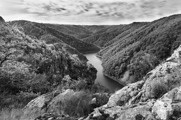 « Suivre le méandre N&B » Les Gorges de la Dordogne depuis Gratte-Bruyère, Corrèze (19)
