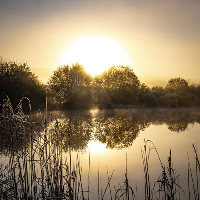 Ain - Bugey - "Osez la rencontre" - Plans d'eau du Genevray à Thézillieu - Ratio 1/1