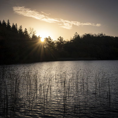 « Lueur matinale » Lac d'Ambléon, Ain (01)