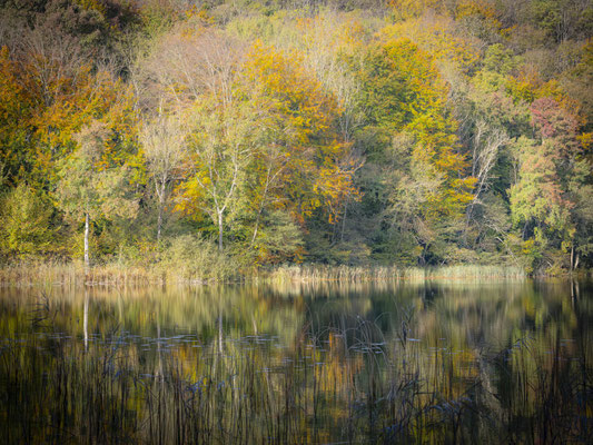 Ain - Bugey - "Reflets sur le lac d’Ambléon"   - Ratio 3/4