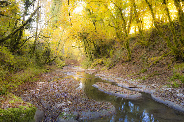 Ain - Bugey - "L'Arvière en automne" - L'Arvière vers Vaux-Morets - Ratio 2/3