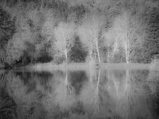 Ain - Bugey - Plans d'eau du Genevray à Thézillieu N&B - Ratio 3/4