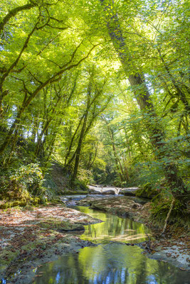 Ain - Bugey - L'Arvière en été - Ratio 2/3