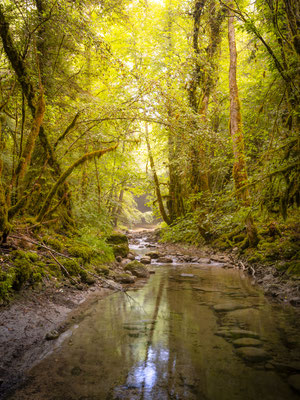 Ain - Bugey - L'Arvière - (vers Vaux-Morets) - Ratio 3/4