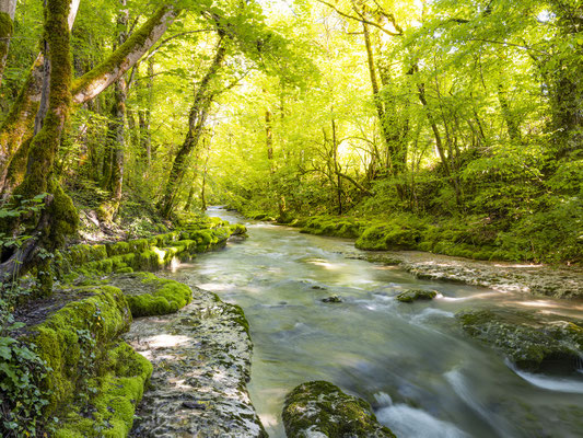 Ain - Bugey - "Le Séran au printemps" - Ratio 3/4