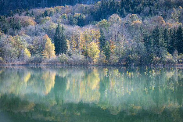 « Reflets pastel » Lac d'Ilay, Jura (39)