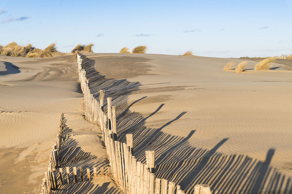 « Vers la plage » - Dune de sable dans les Bouches-du-Rhône (13)