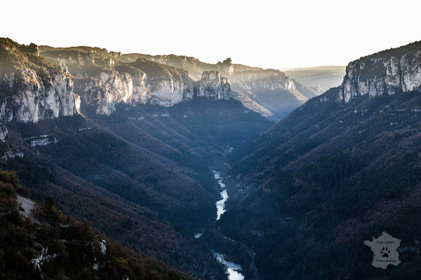 "Au milieu, une rivière" - Gorges du Tarn.