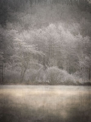 Ain - Bugey - "Figé dans le blanc" - Lac de Virieu-le-Grand sous le givre - Ratio 3/4 vertical 