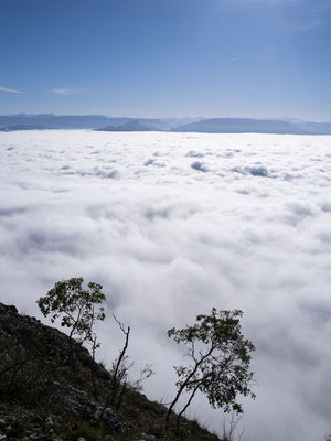 Ain - Bugey - "Belvédère de Sérémond" - Montagne de Sérémond - Ratio 3/4