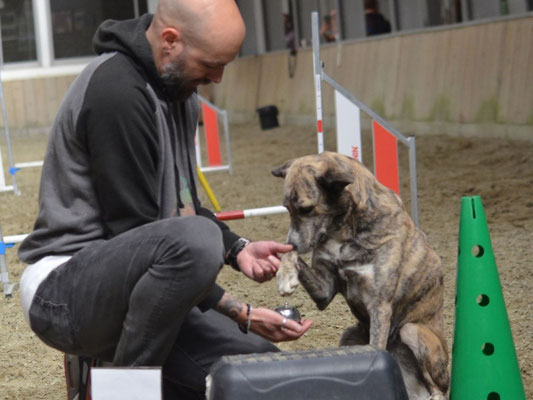 Eigenaar begeleidt hond tijdens Fun-Gility workshop