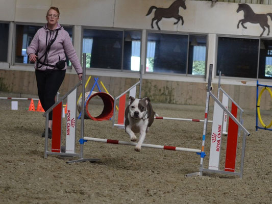 Eigenaar werkt samen met hond tijdens Fun-Gility workshop