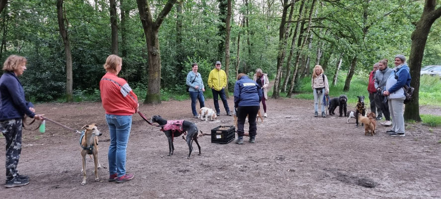Deelnemers met honden tijdens zomeravond activiteit van Dog-Coach