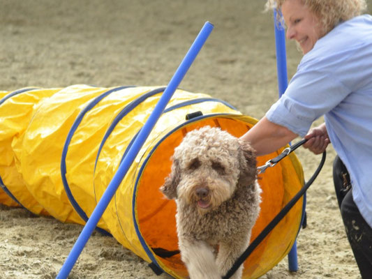 Actieve hond tijdens Fun-Gility workshop van Dog-Coach