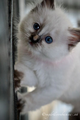 Baby pink