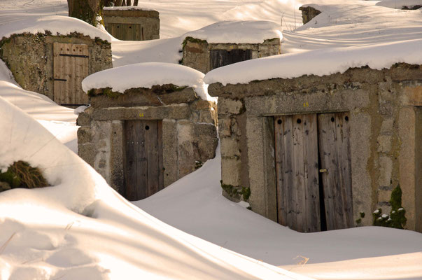 Schnee bedeckt in der Abendsonne
