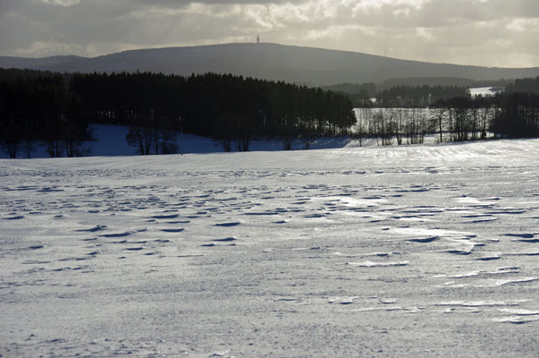 Der Schneeberg im Hintergrund