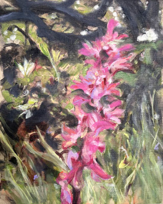 Rouge_Violet_2026_OilonLinen