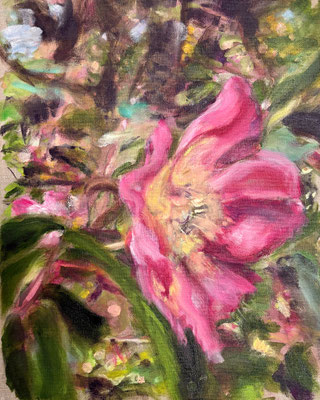 Rose, 50 x 40 cm, Oil on Linen