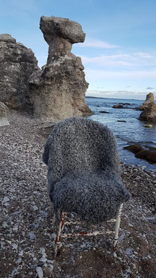 Gotlandfell, Strand auf Gotland, Folhammer Gotland, irrlichtjaeger