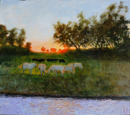 Sonnenaufgang in der Camarque, 80x90 cm