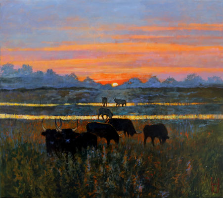 Stiere in der Camarque, 80x90 cm