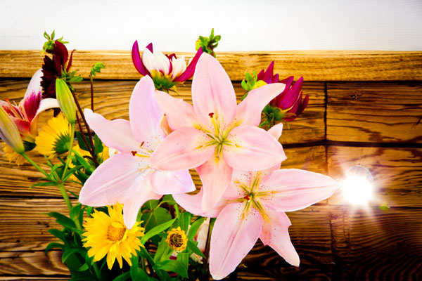 Blumen am Zimmer