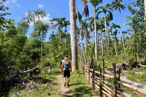 Baracoa, Weg zum Yunque