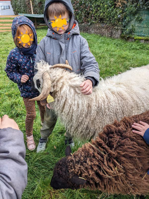 mediation animale maison de retraite