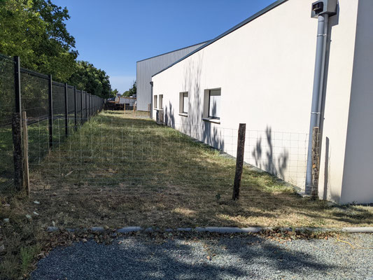 Installation de clôtures pour projet d’éco-pâturage en Vendée
