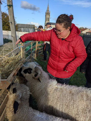 personnes agee animaux