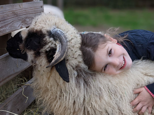 calin enfant mouton laine