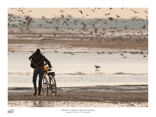 en chemin vous verrez les pêcheurs à pied