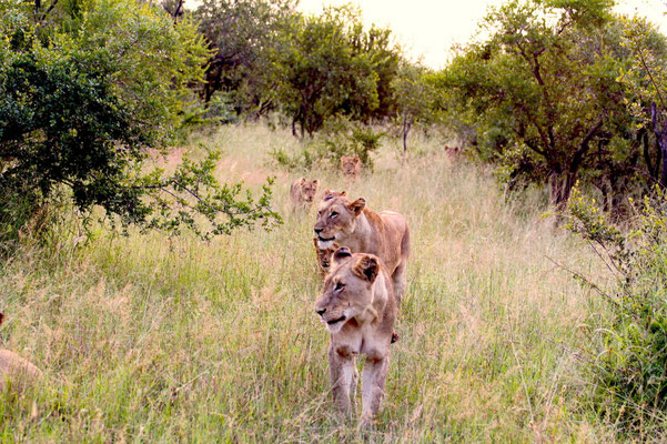 Cycling and Safari in South Africa