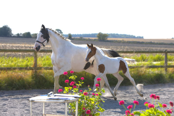 Phileine M e Ceasar-Victory