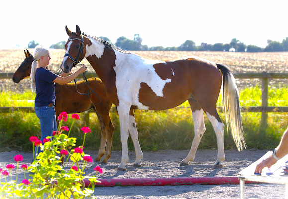 Midori af Elestorp, storasyster till Millesimé