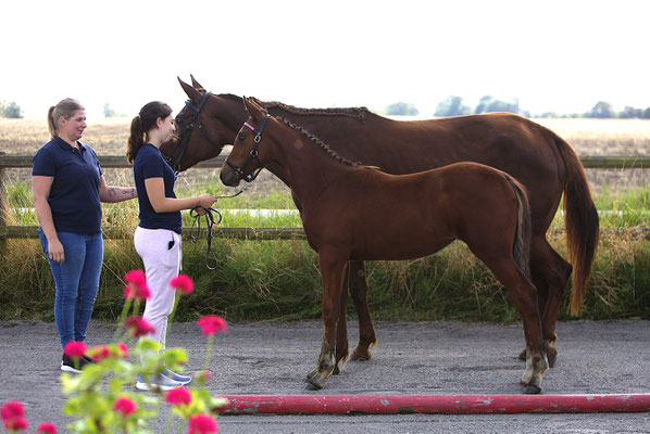 Zelda e Captain Cooper u Brave Star 23 p