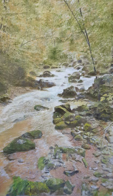 Kemptnertobel bei Wetzikon / Öl / 69x39 cm / 2024 /----CHF 2'300---- 