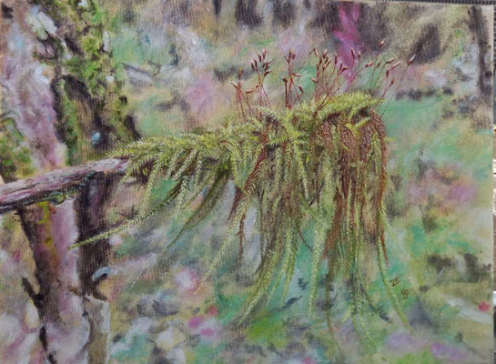 Natur erholt sich stets II / Öl / 30 x 40cm / 2025 /----CHF 1'100----