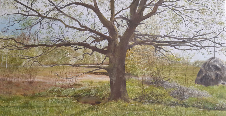  (Lebens)baum im Frühling / Öl / 35x62 cm / 2022 /  American Art Awards 2022 siehe Aktuell
