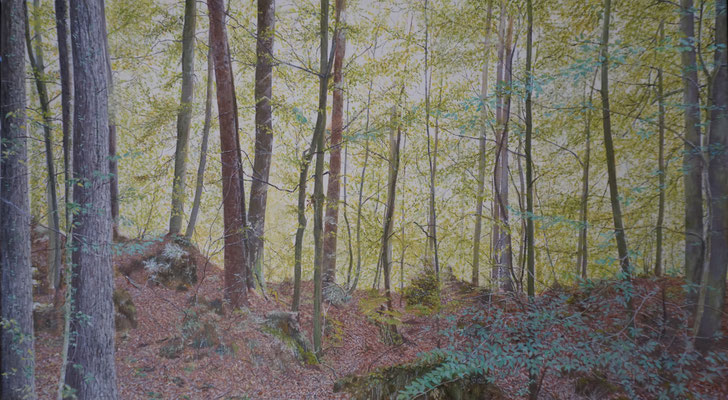Frühling / 45 x 80 cm / 2025 /----CHF 2'800----